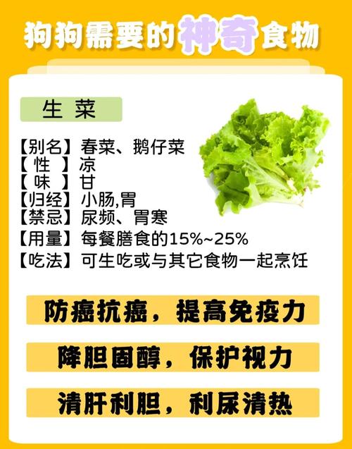 解析“狗狗可以吃生菜吗”你不知道的事-第4张图片 解析“狗狗可以吃生菜吗”你不知道的事-第4张图片