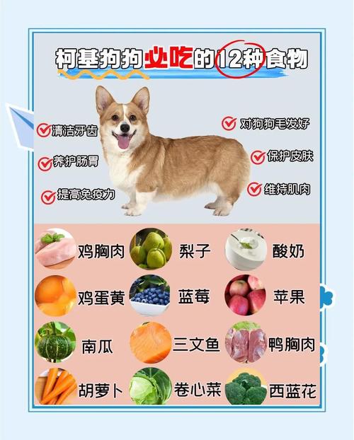 解析“狗狗可以吃生菜吗”你不知道的事-第7张图片 解析“狗狗可以吃生菜吗”你不知道的事-第7张图片