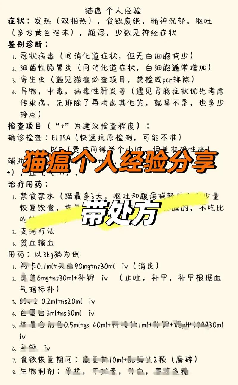 猫瘟用什么药治疗最有效-猫瘟怎么在家治疗-第1张图片 猫瘟用什么药治疗最有效-猫瘟怎么在家治疗-第1张图片