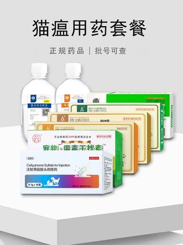 猫瘟用什么药治疗最有效-猫瘟怎么在家治疗-第4张图片 猫瘟用什么药治疗最有效-猫瘟怎么在家治疗-第4张图片