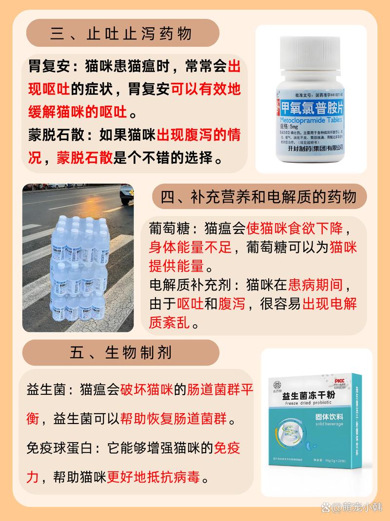 猫瘟用什么药治疗最有效-猫瘟怎么在家治疗-第5张图片 猫瘟用什么药治疗最有效-猫瘟怎么在家治疗-第5张图片