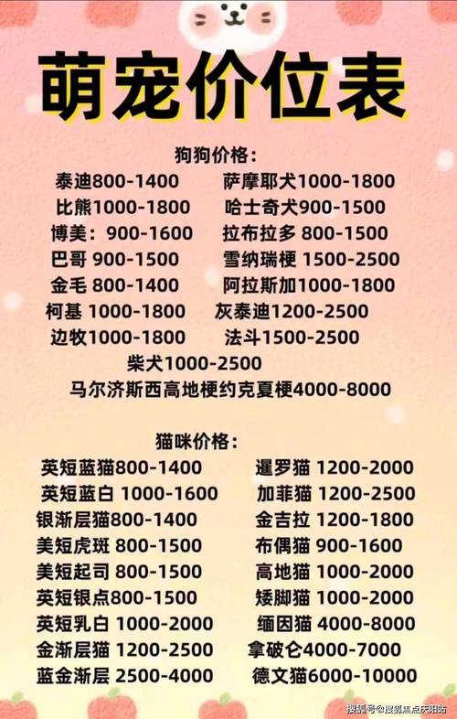 哈士奇成年犬多少钱一只-哈士奇成年犬有多大-第8张图片 哈士奇成年犬多少钱一只-哈士奇成年犬有多大-第8张图片