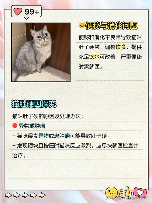 作为消费者“猫咪肚子鼓鼓的”你不能不知道-第4张图片 作为消费者“猫咪肚子鼓鼓的”你不能不知道-第4张图片