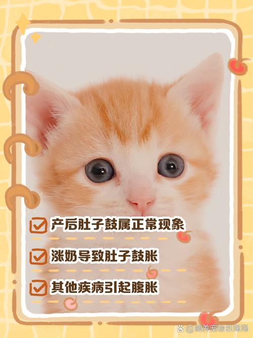 作为消费者“猫咪肚子鼓鼓的”你不能不知道-第5张图片 作为消费者“猫咪肚子鼓鼓的”你不能不知道-第5张图片