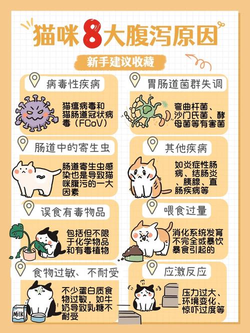 作为消费者“猫咪肚子鼓鼓的”你不能不知道-第6张图片 作为消费者“猫咪肚子鼓鼓的”你不能不知道-第6张图片