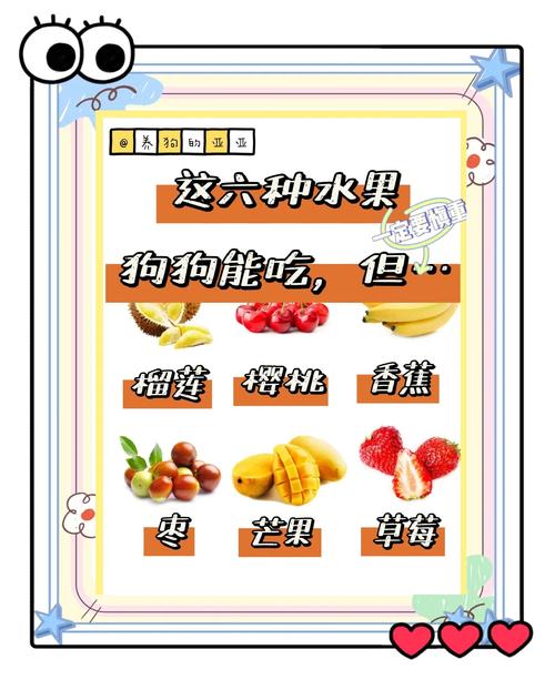 小狗能吃蓝莓吗-两个月小狗能吃蓝莓吗-第2张图片 小狗能吃蓝莓吗-两个月小狗能吃蓝莓吗-第2张图片