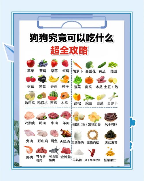 小狗能吃蓝莓吗-两个月小狗能吃蓝莓吗-第6张图片 小狗能吃蓝莓吗-两个月小狗能吃蓝莓吗-第6张图片