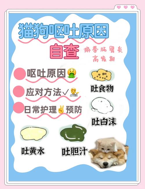 猫猫呕吐怎么办/猫经常呕吐怎么回事-第2张图片 猫猫呕吐怎么办/猫经常呕吐怎么回事-第2张图片