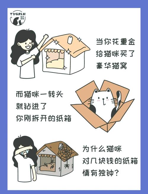 猫咪为什么喜欢纸箱-猫咪为什么喜欢纸箱子躺里面-第1张图片 猫咪为什么喜欢纸箱-猫咪为什么喜欢纸箱子躺里面-第1张图片