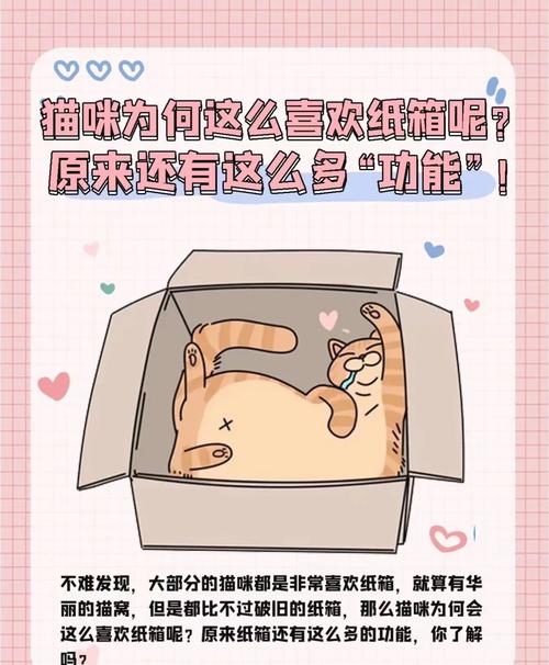 猫咪为什么喜欢纸箱-猫咪为什么喜欢纸箱子躺里面-第4张图片 猫咪为什么喜欢纸箱-猫咪为什么喜欢纸箱子躺里面-第4张图片