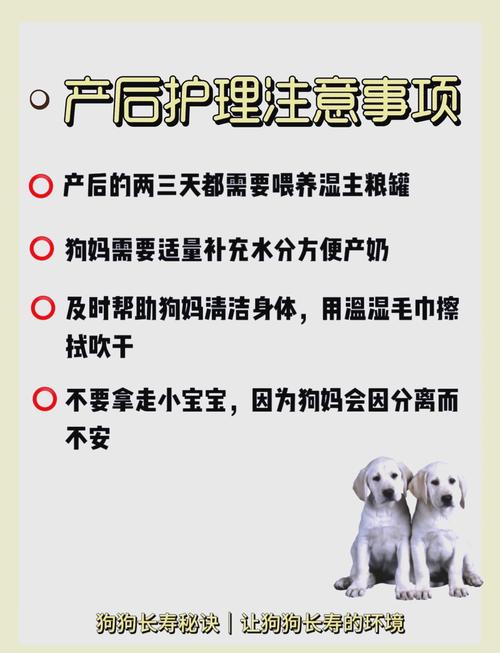 解析“怎样帮狗狗助产”你不知道的事-第2张图片 解析“怎样帮狗狗助产”你不知道的事-第2张图片