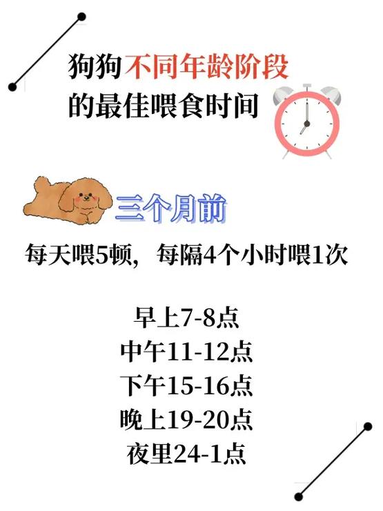 狗一天喂几顿,狗一天喂几顿合适-第3张图片 狗一天喂几顿,狗一天喂几顿合适-第3张图片