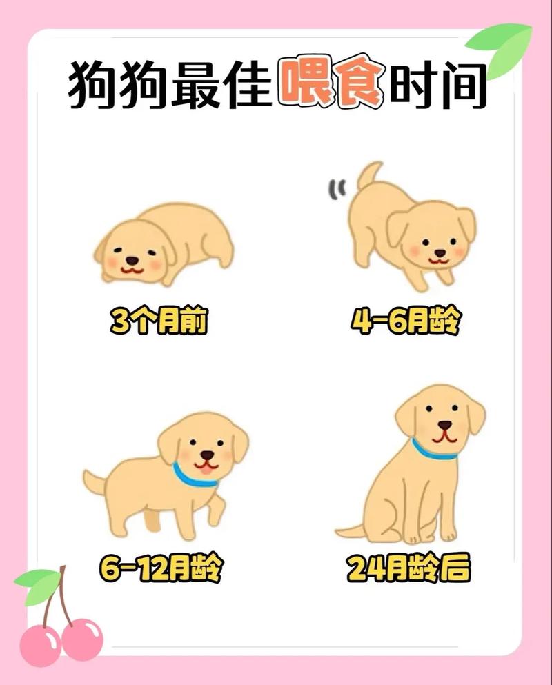 狗一天喂几顿,狗一天喂几顿合适-第5张图片 狗一天喂几顿,狗一天喂几顿合适-第5张图片