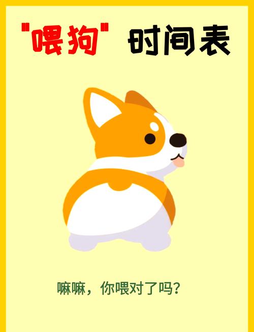 狗一天喂几顿,狗一天喂几顿合适-第7张图片 狗一天喂几顿,狗一天喂几顿合适-第7张图片