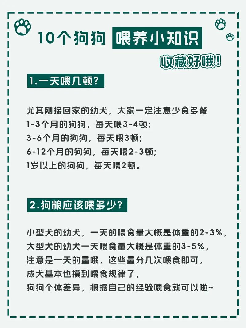 狗一天喂几顿,狗一天喂几顿合适-第8张图片 狗一天喂几顿,狗一天喂几顿合适-第8张图片