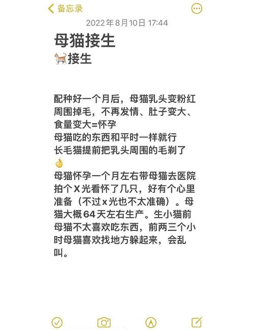 解析“猫咪生产需要准备什么”你不知道的事-第2张图片 解析“猫咪生产需要准备什么”你不知道的事-第2张图片