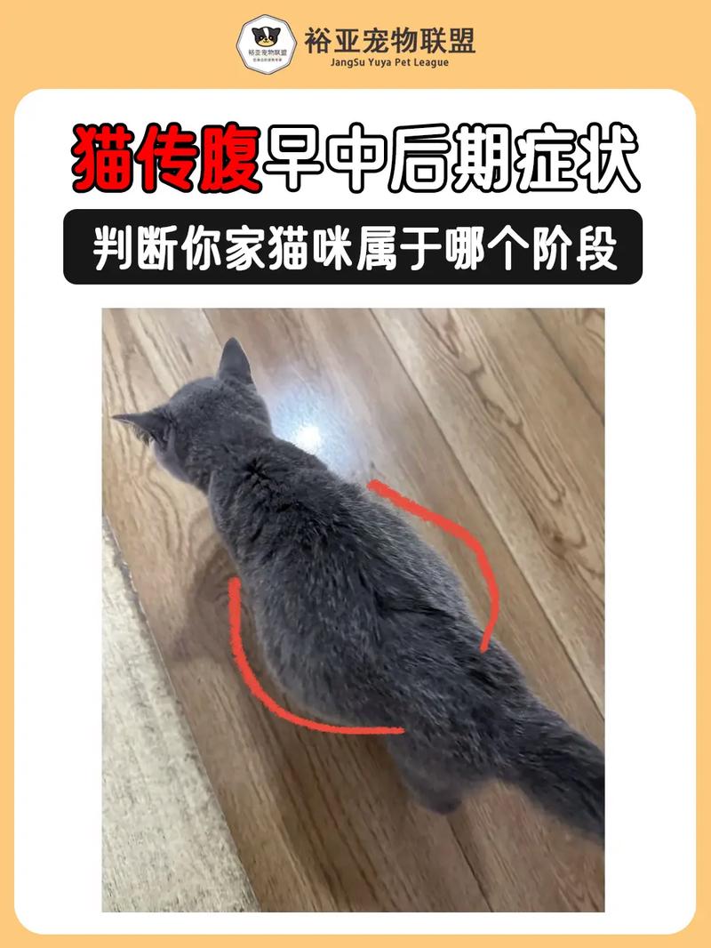 解析“fcov”你不知道的事-第7张图片 解析“fcov”你不知道的事-第7张图片