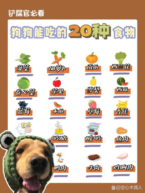 狗狗能吃油炸的东西吗-狗狗能不能吃油炸食物-第2张图片 狗狗能吃油炸的东西吗-狗狗能不能吃油炸食物-第2张图片
