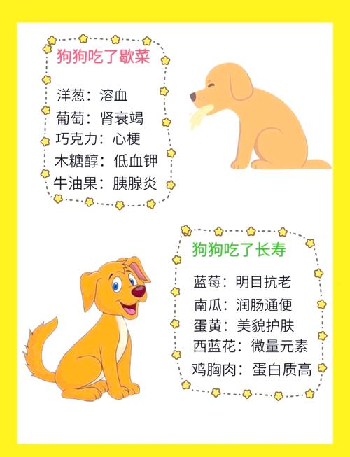 狗狗能吃油炸的东西吗-狗狗能不能吃油炸食物-第5张图片 狗狗能吃油炸的东西吗-狗狗能不能吃油炸食物-第5张图片
