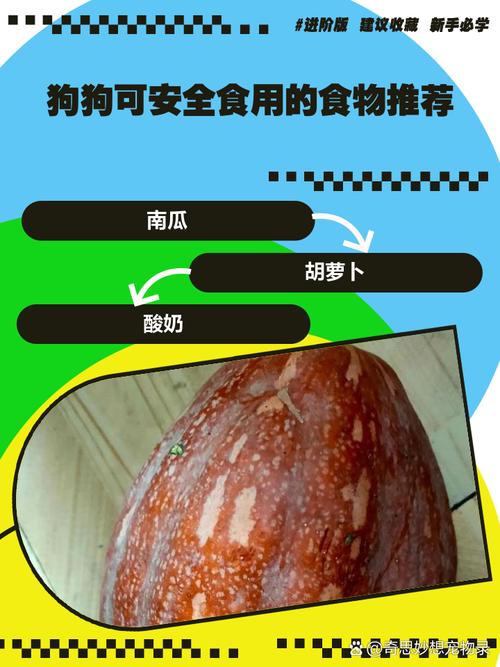 狗狗能吃油炸的东西吗-狗狗能不能吃油炸食物-第6张图片 狗狗能吃油炸的东西吗-狗狗能不能吃油炸食物-第6张图片