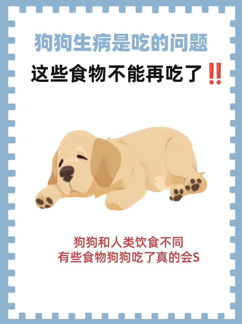 狗狗能吃油炸的东西吗-狗狗能不能吃油炸食物-第9张图片 狗狗能吃油炸的东西吗-狗狗能不能吃油炸食物-第9张图片