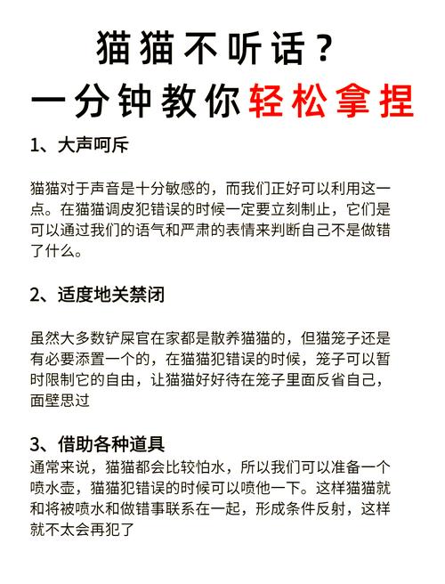 猫咪不听话怎么办,猫要怎么训练才听话-第3张图片 猫咪不听话怎么办,猫要怎么训练才听话-第3张图片