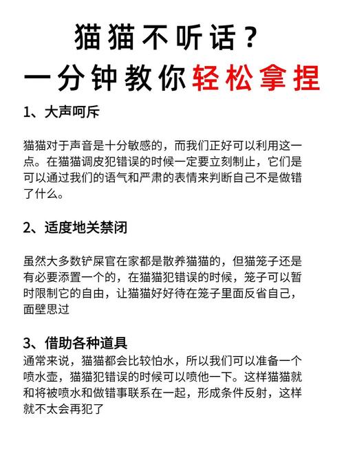 猫咪不听话怎么办,猫要怎么训练才听话-第4张图片 猫咪不听话怎么办,猫要怎么训练才听话-第4张图片