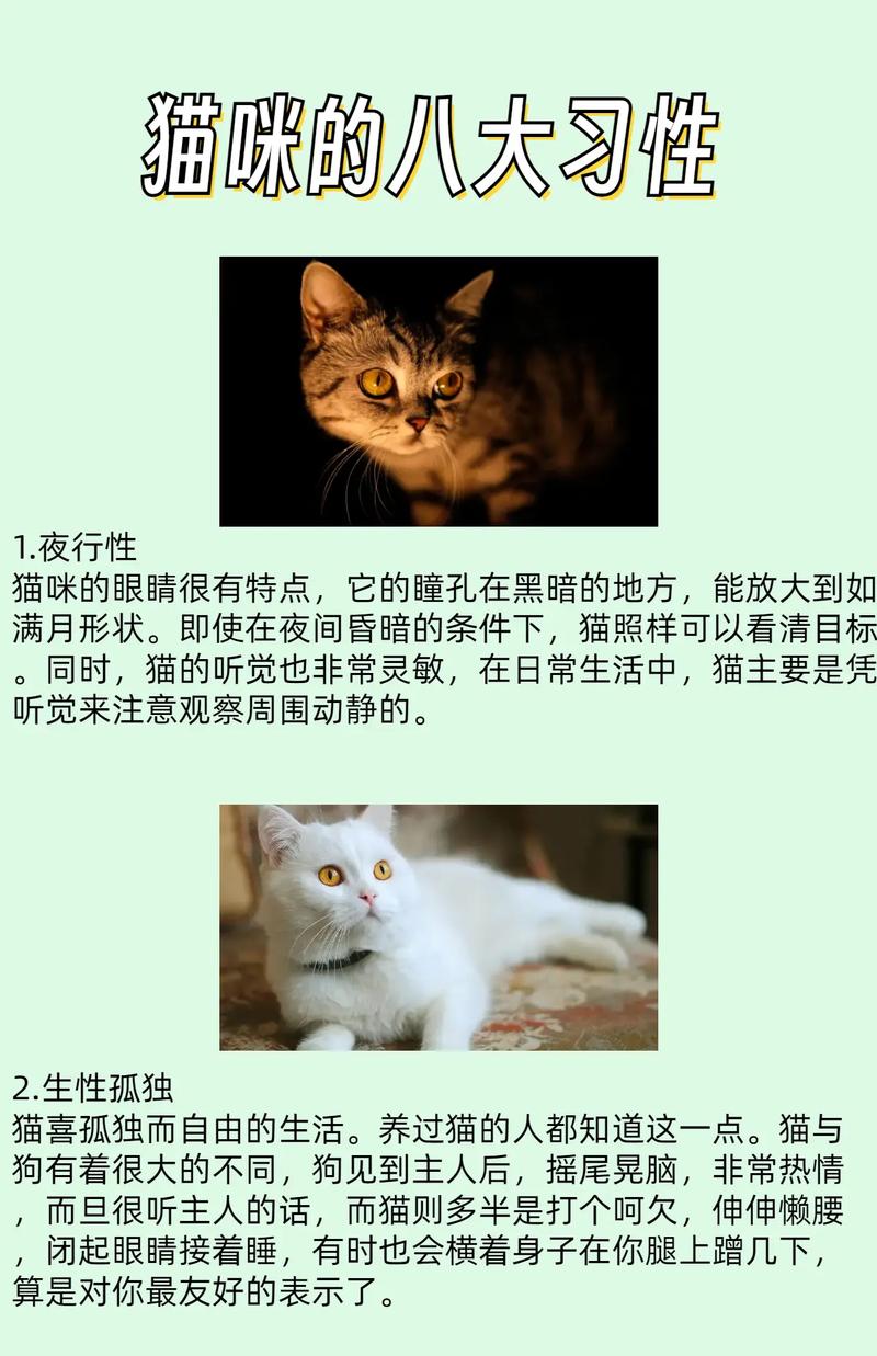 解析“小猫习性”你不知道的事-第2张图片 解析“小猫习性”你不知道的事-第2张图片