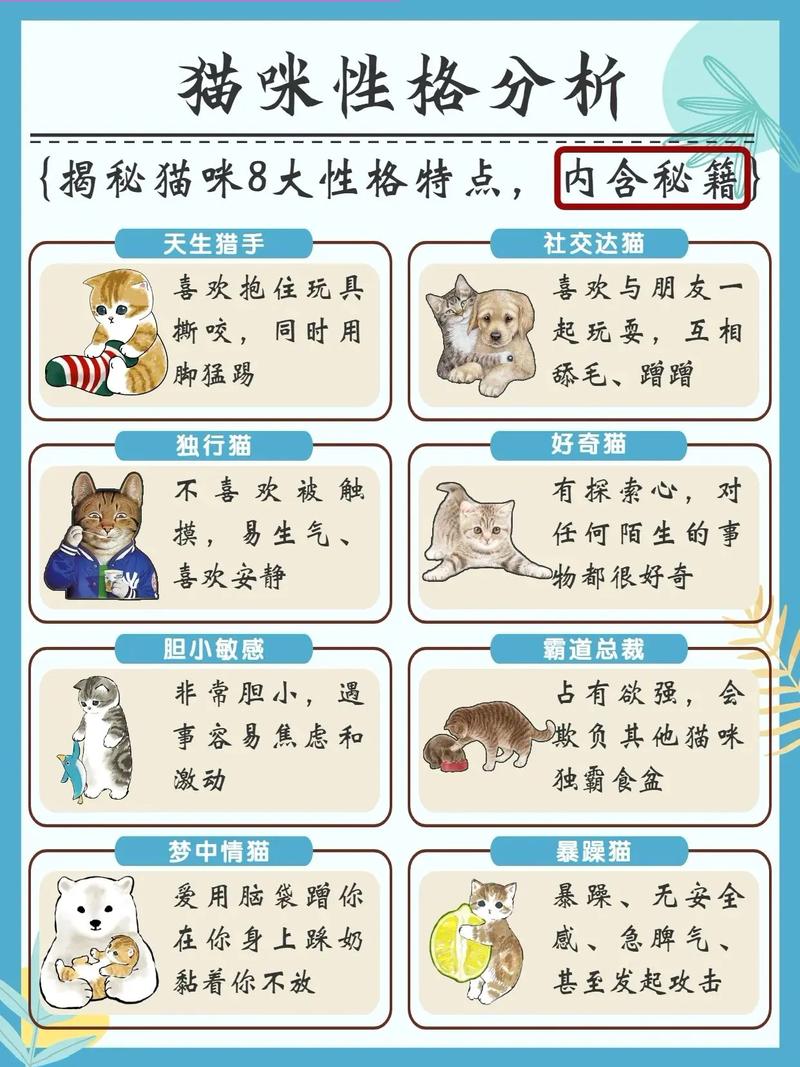 解析“小猫习性”你不知道的事-第3张图片 解析“小猫习性”你不知道的事-第3张图片