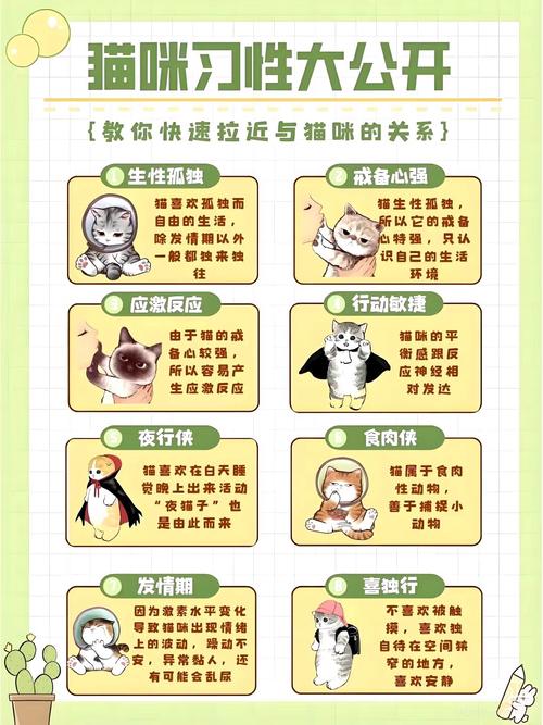 解析“小猫习性”你不知道的事-第5张图片 解析“小猫习性”你不知道的事-第5张图片