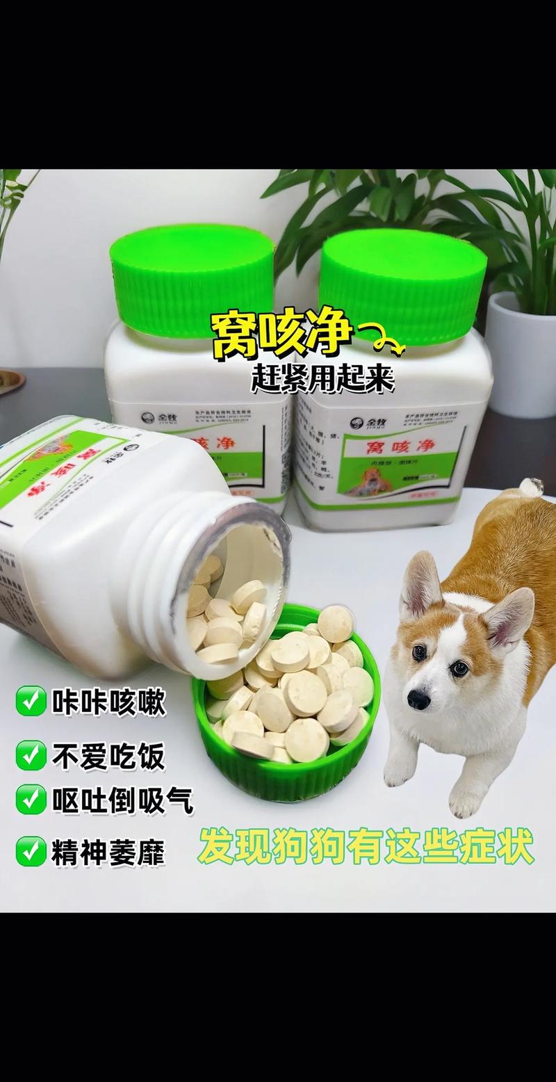 作为消费者“狗狗可以吃罗红霉素吗”你不能不知道-第5张图片 作为消费者“狗狗可以吃罗红霉素吗”你不能不知道-第5张图片
