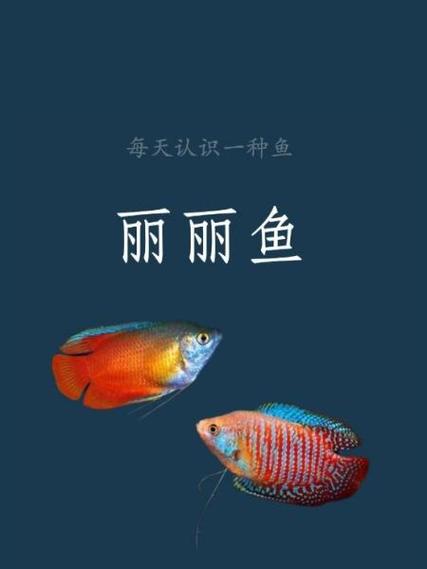 作为消费者“丽丽鱼常见病”你不能不知道-第1张图片 作为消费者“丽丽鱼常见病”你不能不知道-第1张图片