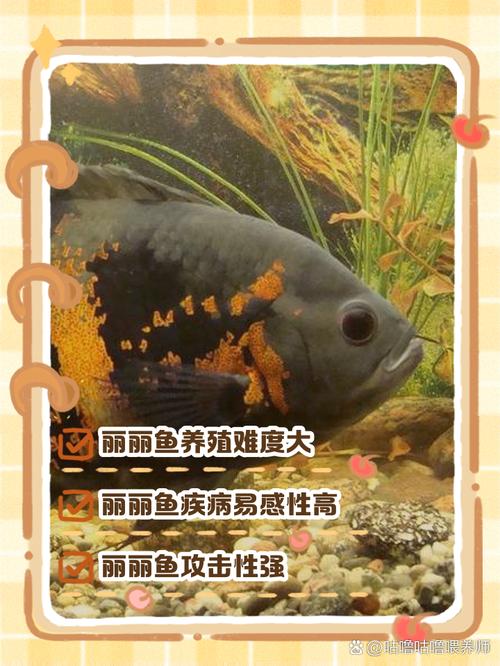 作为消费者“丽丽鱼常见病”你不能不知道-第9张图片 作为消费者“丽丽鱼常见病”你不能不知道-第9张图片