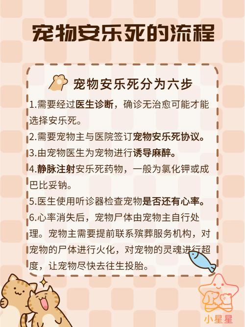 安乐死的原理,安乐死的原理是什么,终于明白了-第4张图片 安乐死的原理,安乐死的原理是什么,终于明白了-第4张图片