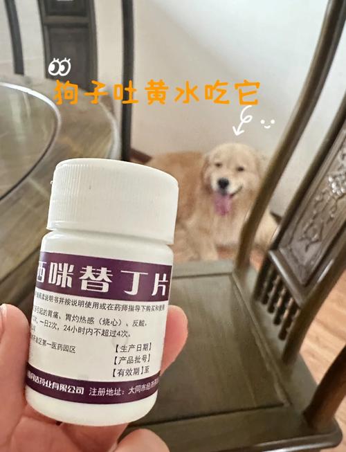 狗狗呕吐吃什么药/泰迪狗狗呕吐吃什么药-第1张图片 狗狗呕吐吃什么药/泰迪狗狗呕吐吃什么药-第1张图片