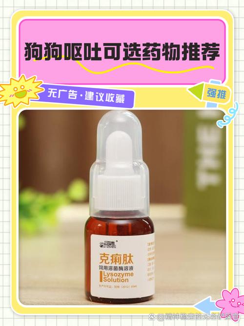 狗狗呕吐吃什么药/泰迪狗狗呕吐吃什么药-第5张图片 狗狗呕吐吃什么药/泰迪狗狗呕吐吃什么药-第5张图片