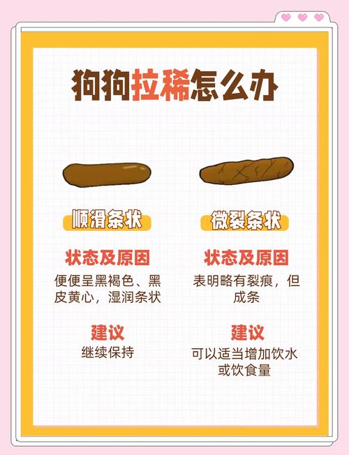 狗狗拉不出粑粑怎么办-狗狗拉不出粑粑怎么办要吃什么-第4张图片 狗狗拉不出粑粑怎么办-狗狗拉不出粑粑怎么办要吃什么-第4张图片
