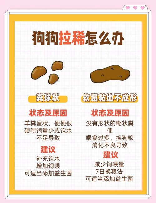 狗狗拉不出粑粑怎么办-狗狗拉不出粑粑怎么办要吃什么-第5张图片 狗狗拉不出粑粑怎么办-狗狗拉不出粑粑怎么办要吃什么-第5张图片