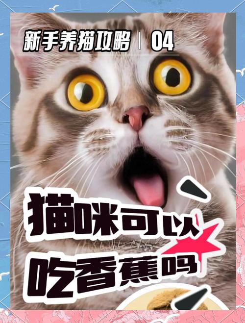 作为消费者“猫咪能不能吃香蕉”你不能不知道-第10张图片 作为消费者“猫咪能不能吃香蕉”你不能不知道-第10张图片