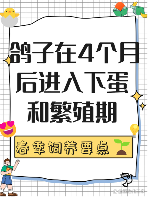鸽子多久下一次蛋,成年鸽子多久下一次蛋-第3张图片 鸽子多久下一次蛋,成年鸽子多久下一次蛋-第3张图片