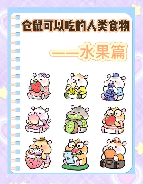解析“仓鼠可以吃香蕉吗”你不知道的事-第4张图片 解析“仓鼠可以吃香蕉吗”你不知道的事-第4张图片