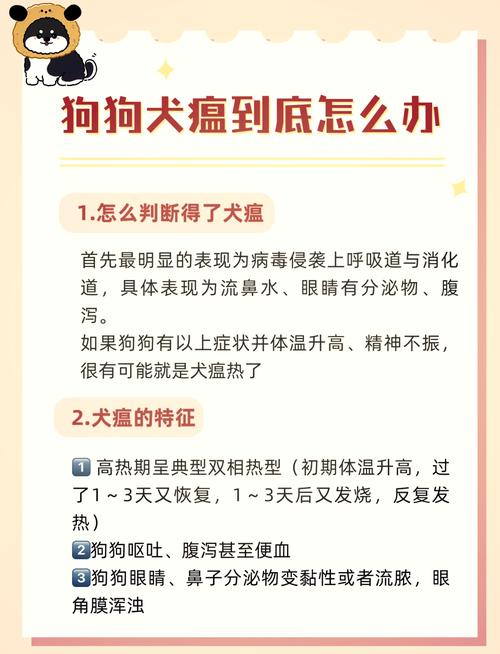 作为消费者“狗瘟治好了还会复发不”你不能不知道-第1张图片 作为消费者“狗瘟治好了还会复发不”你不能不知道-第1张图片