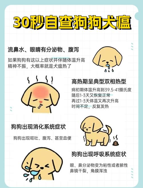 作为消费者“狗瘟治好了还会复发不”你不能不知道-第3张图片 作为消费者“狗瘟治好了还会复发不”你不能不知道-第3张图片
