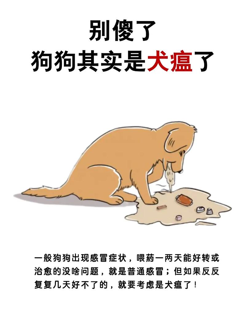 作为消费者“狗瘟治好了还会复发不”你不能不知道-第6张图片 作为消费者“狗瘟治好了还会复发不”你不能不知道-第6张图片