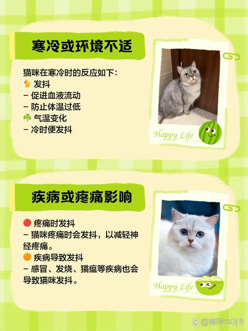 猫咪为什么发抖,猫咪为什么发抖后腿起不来了-第2张图片 猫咪为什么发抖,猫咪为什么发抖后腿起不来了-第2张图片