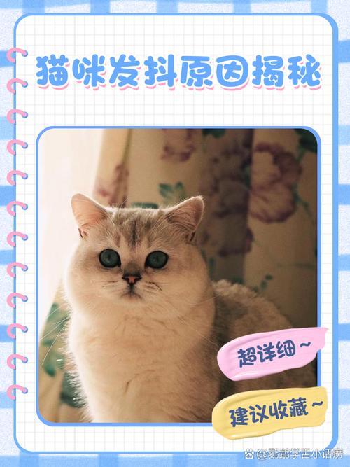 猫咪为什么发抖,猫咪为什么发抖后腿起不来了-第3张图片 猫咪为什么发抖,猫咪为什么发抖后腿起不来了-第3张图片