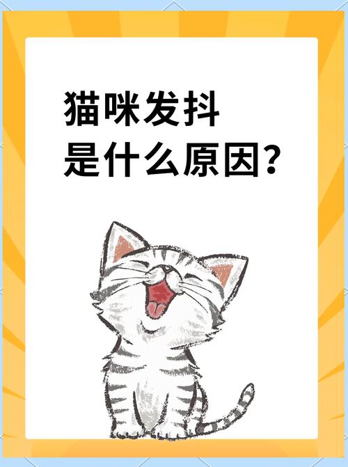 猫咪为什么发抖,猫咪为什么发抖后腿起不来了-第4张图片 猫咪为什么发抖,猫咪为什么发抖后腿起不来了-第4张图片