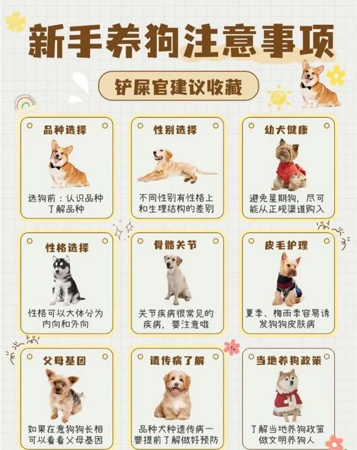 宠物狗的饲养方法,宠物狗的饲养与训练-第3张图片 宠物狗的饲养方法,宠物狗的饲养与训练-第3张图片