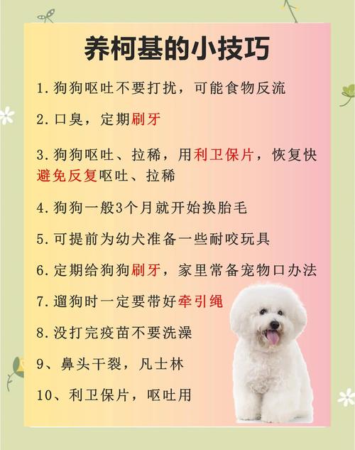 宠物狗的饲养方法,宠物狗的饲养与训练-第5张图片 宠物狗的饲养方法,宠物狗的饲养与训练-第5张图片