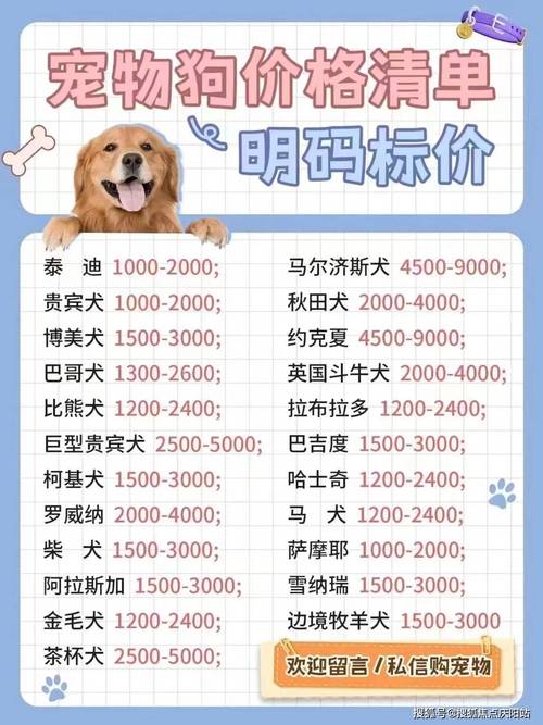 纯种拉布拉多幼崽多少钱一只/纯种拉布拉多幼崽多少钱一只啊-第1张图片 纯种拉布拉多幼崽多少钱一只/纯种拉布拉多幼崽多少钱一只啊-第1张图片